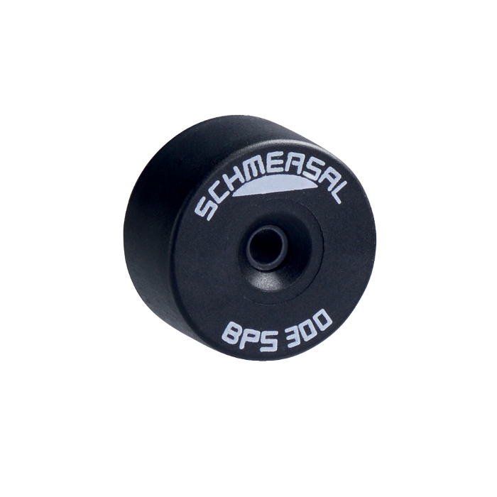 BPS 300 | 101113734